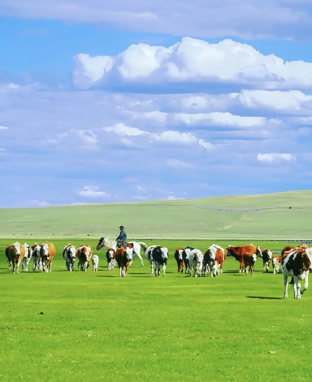 夏日呼伦贝尔6日漫游