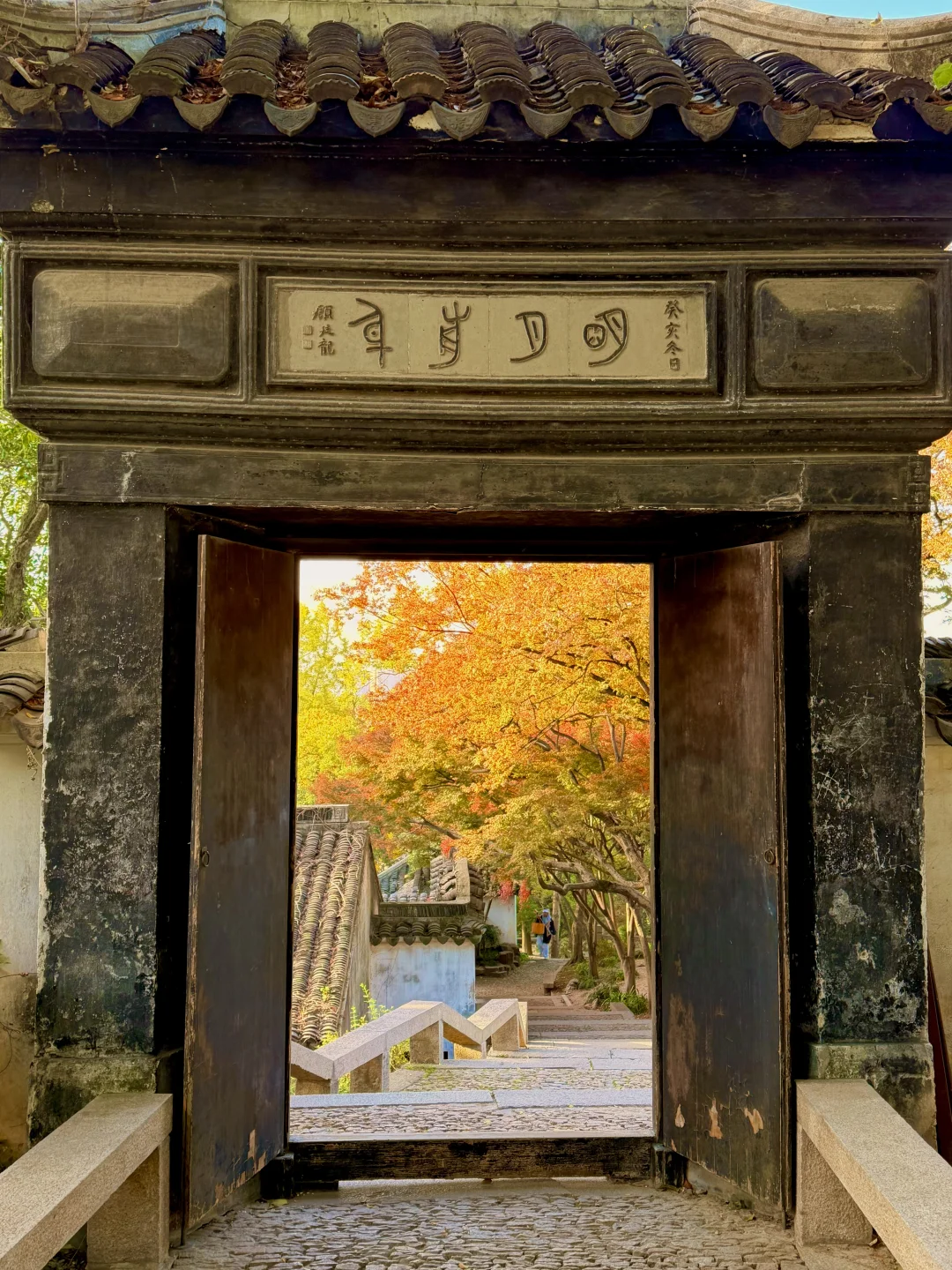 苏州12月赏秋🍂citywalk保姆级攻略(附路线)