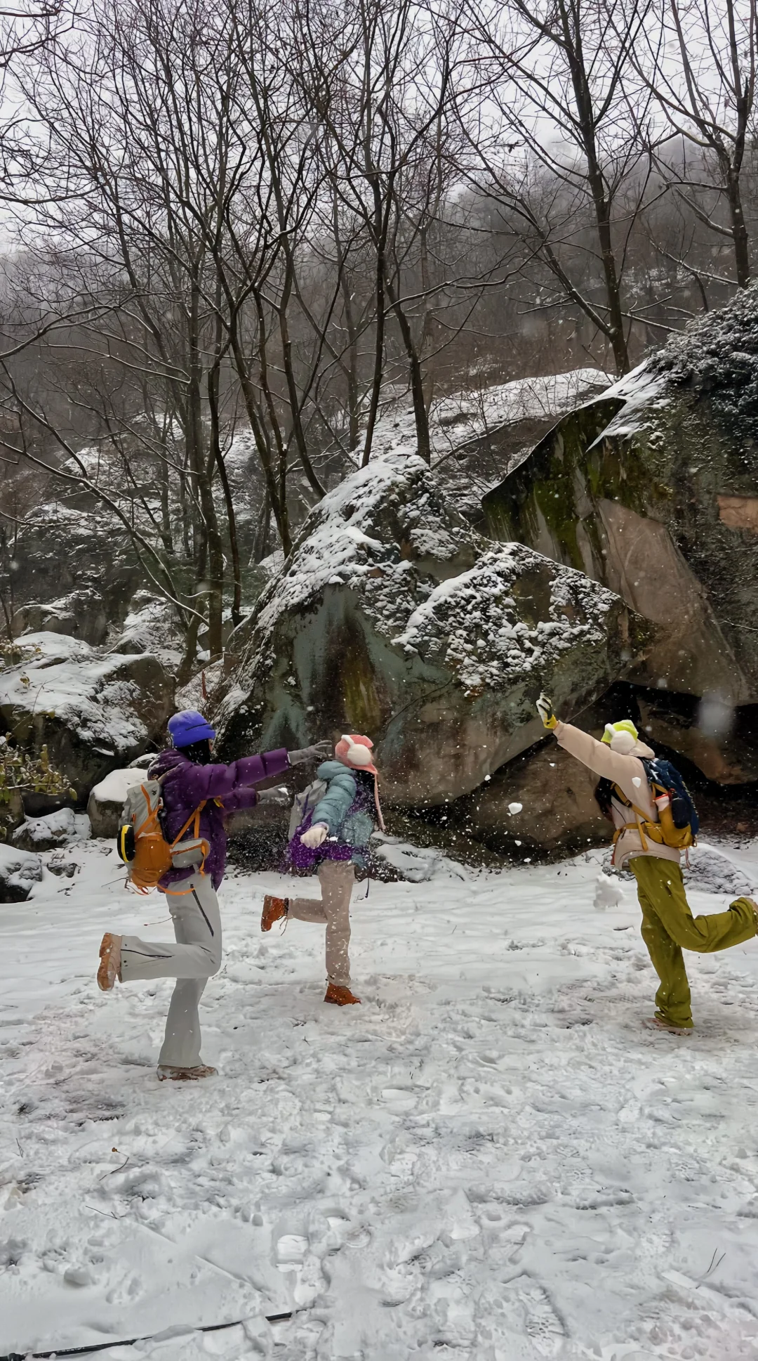 快去翠华山玩雪吧，已封神❄️