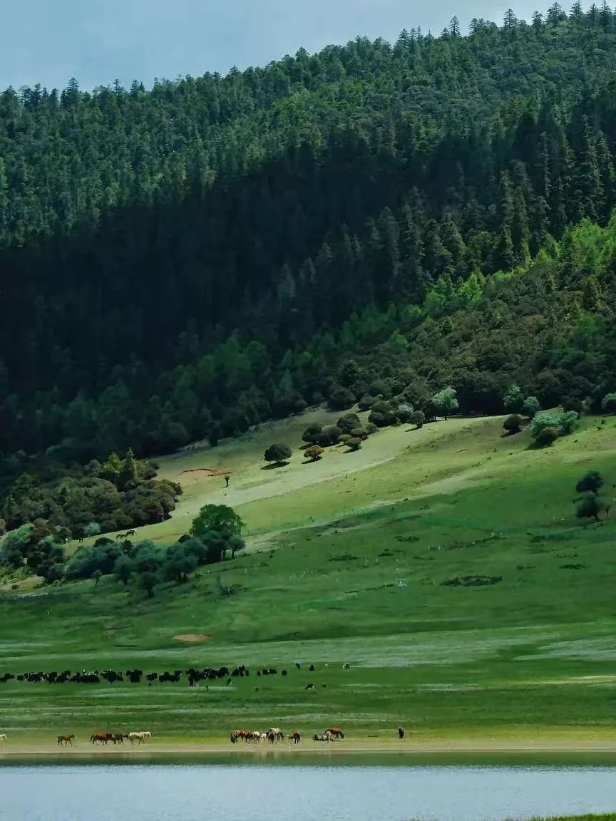 普达措徒步指南，高原秘境这样玩才尽兴！