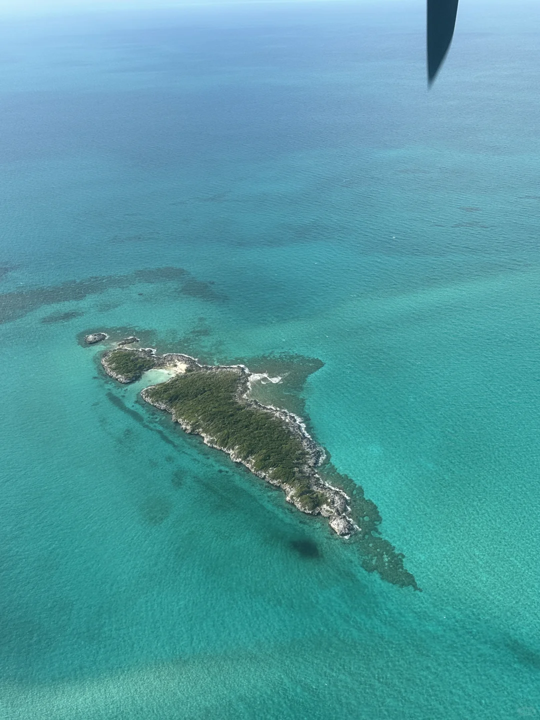 巴哈马🇧🇸的旅游攻略