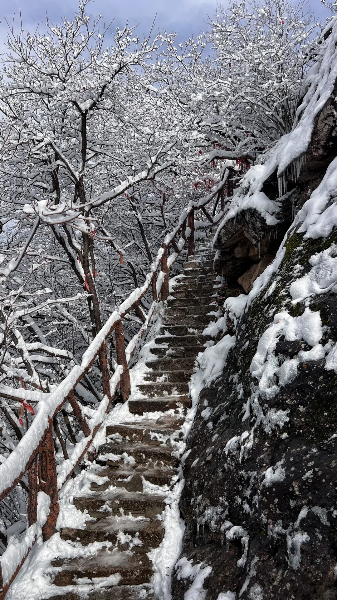 快去翠华山玩雪吧，已封神❄️