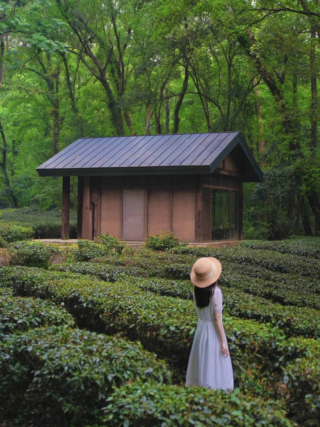 为了这18张图,我特意去了趟南京‼️