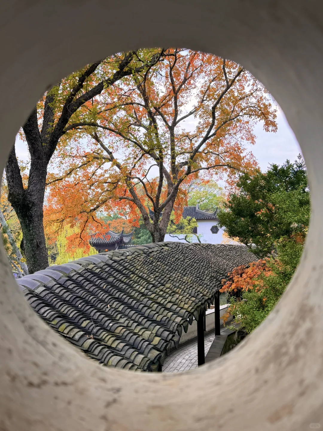 苏州12月赏秋🍂citywalk保姆级攻略(附路线)