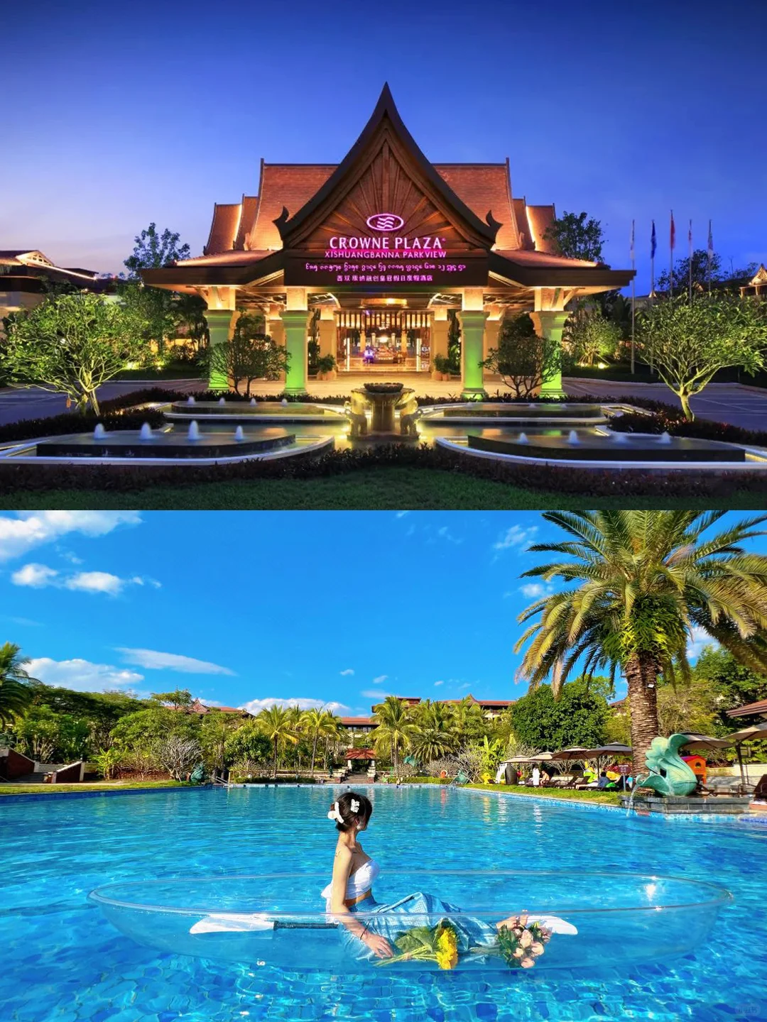 人生建议:带娃去西双版纳,一定要寒假去!