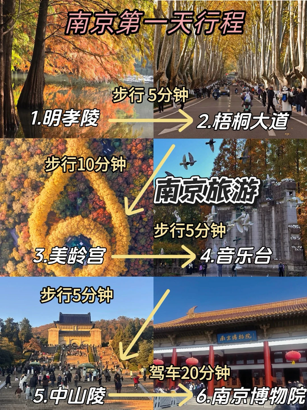 南京旅游已回...本人做的攻略已经nextlevel