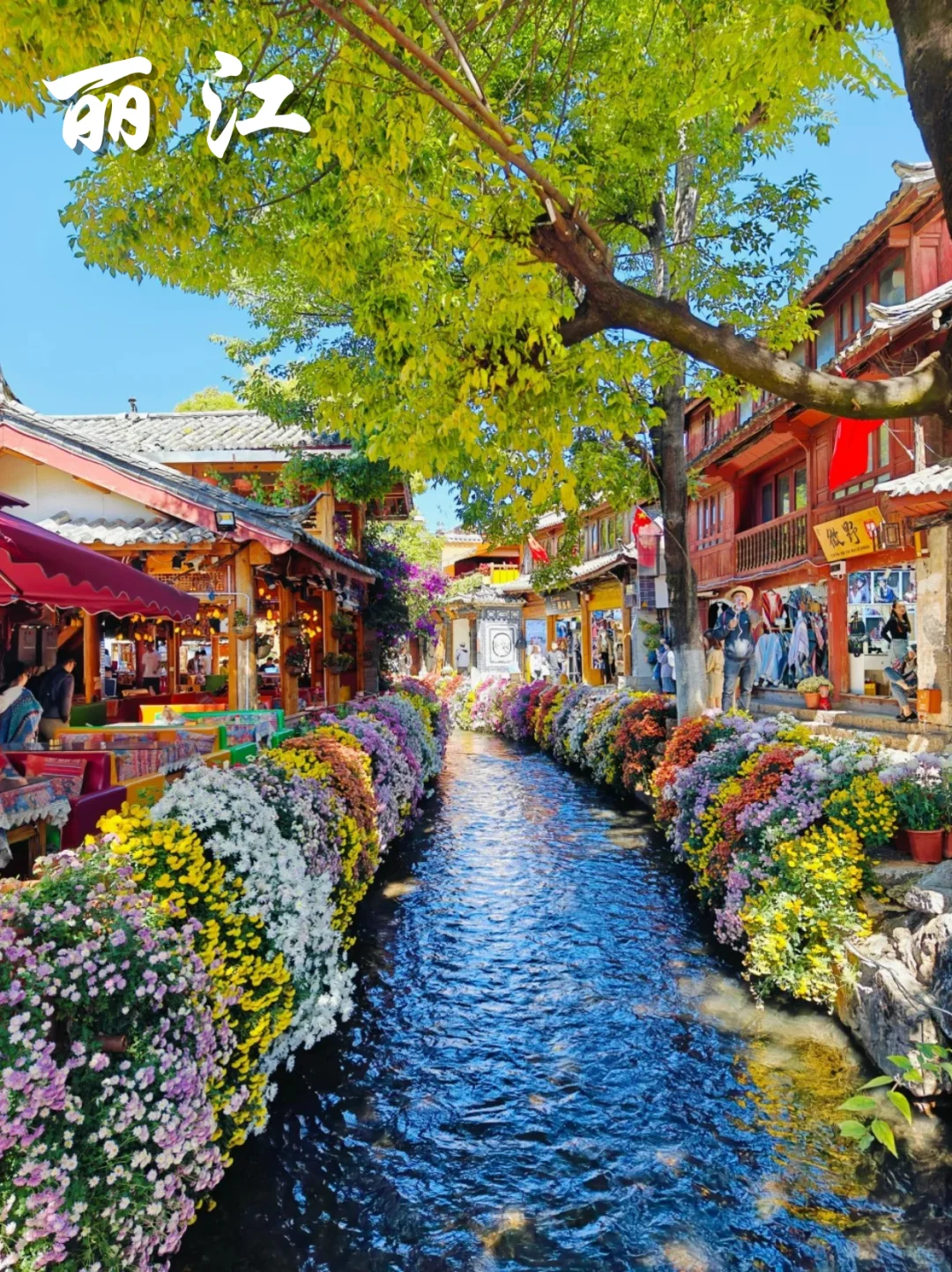 入秋啦 云南的好风光正等你解锁呢~ 🍂