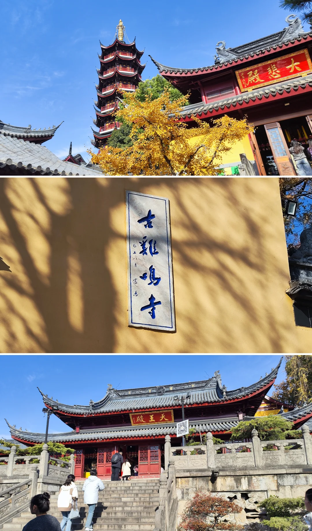 南京|给广东人一点小小的秋天震撼