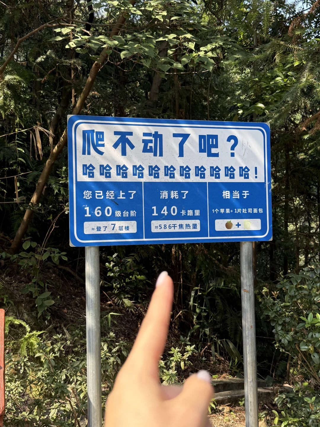这里真的太适合放空自己了～⛰️