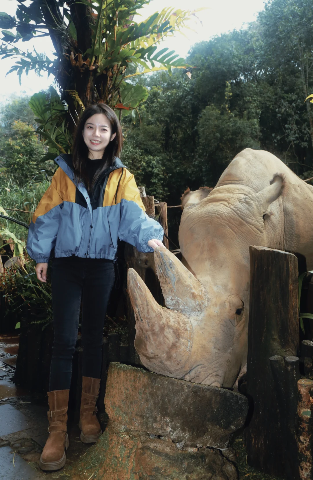 普洱🌿在自然里与小熊猫白犀牛玩耍