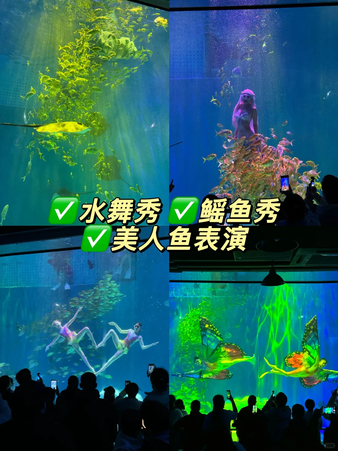 哈尔滨景点推荐!附三日游路线 美食🔥