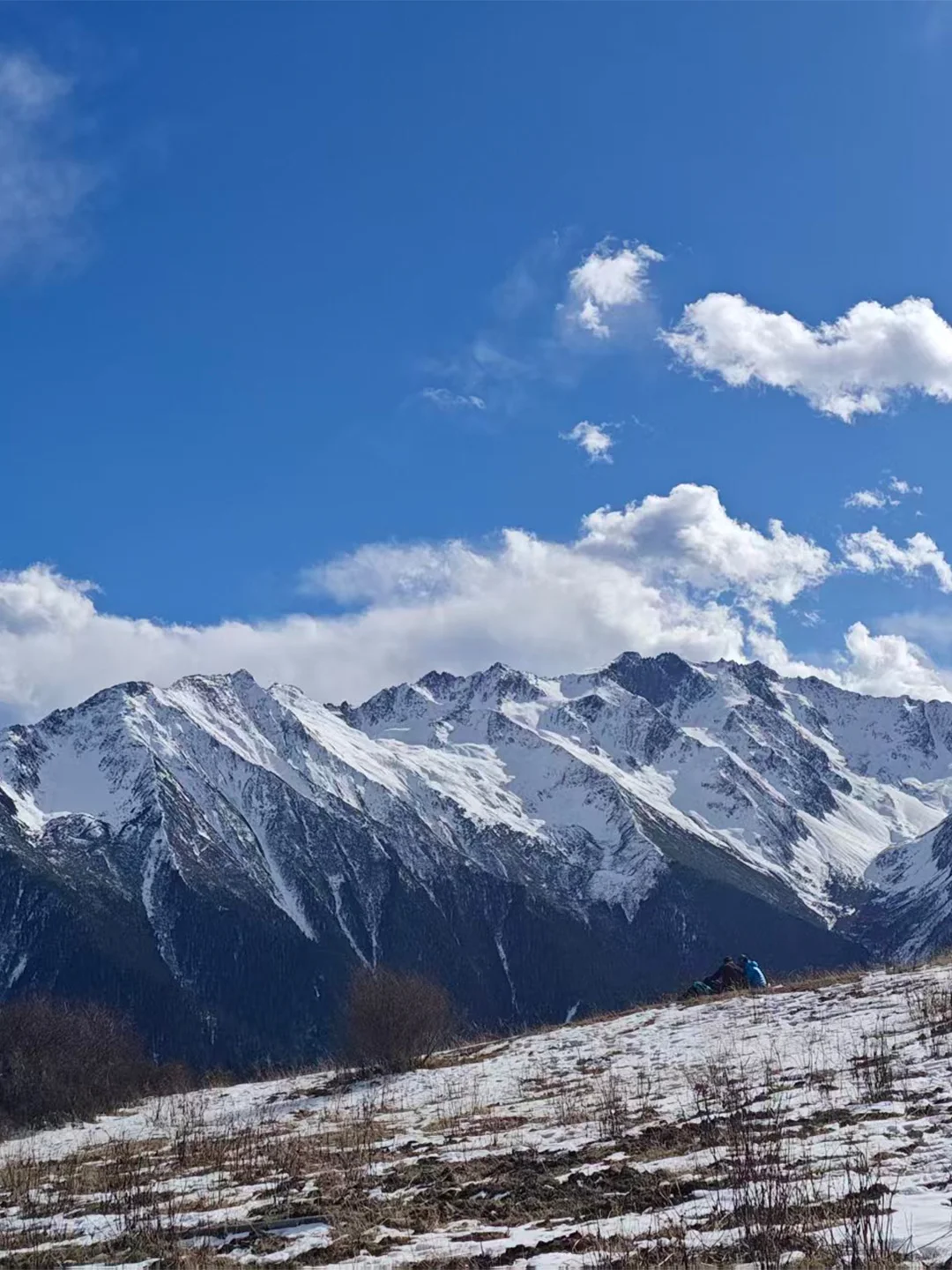 米亚罗猛古雪山📍成都出发一日游徒步💰147