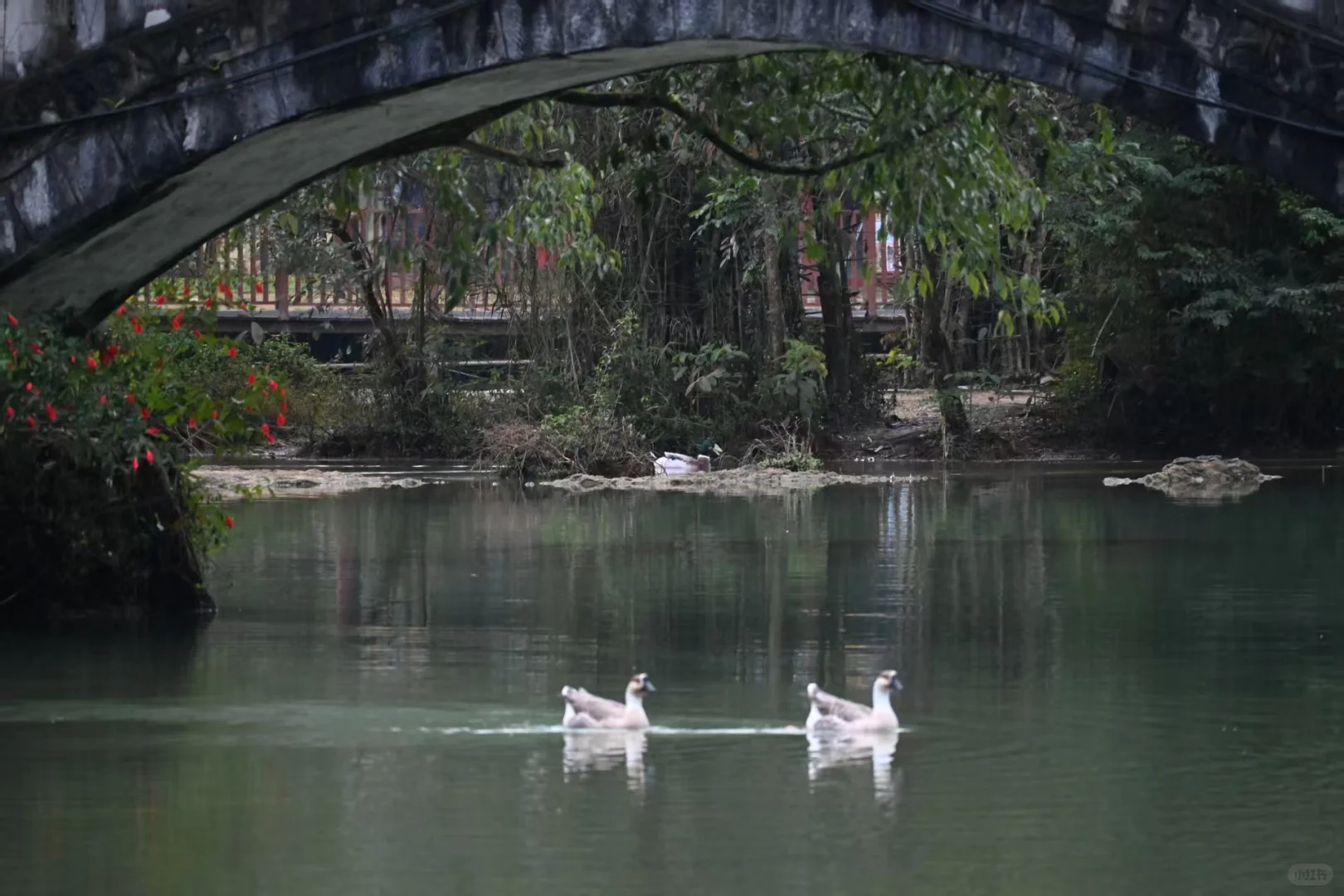 在广西边境,我被山水“没收”了语言