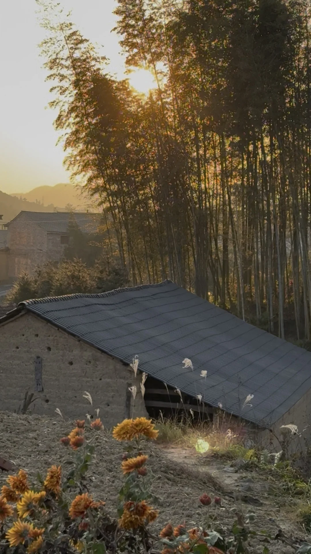 冬日某一天的我们