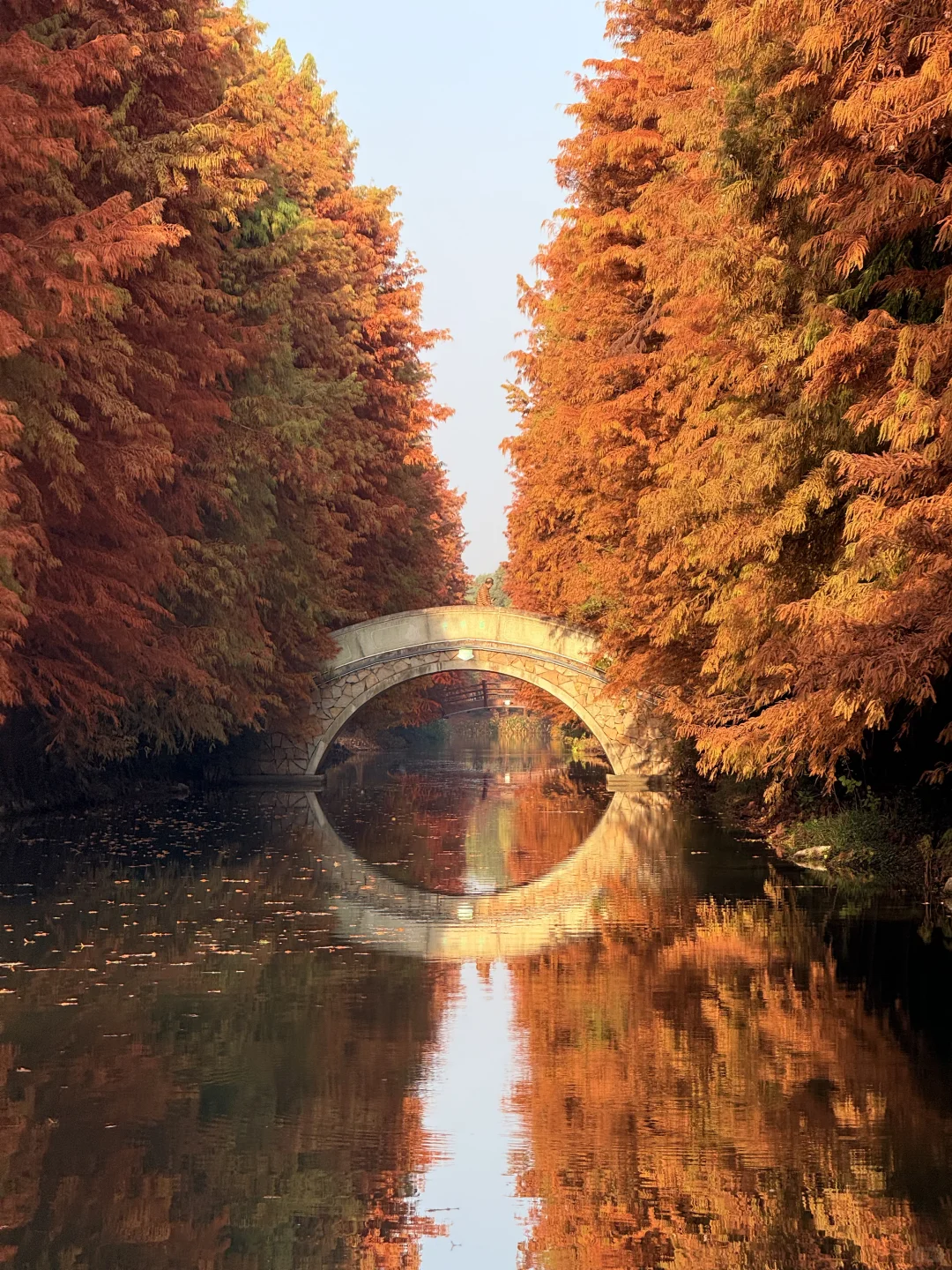 这么美的景点竟然不收费（附地图攻略）