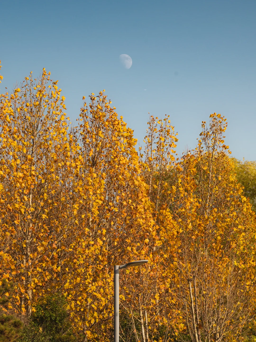 在冬日晴空下，邂逅一片“小洱海”的蓝🌊