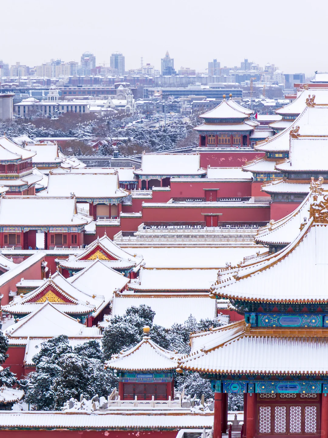 大雪后~约不上故宫的都给我去景山!