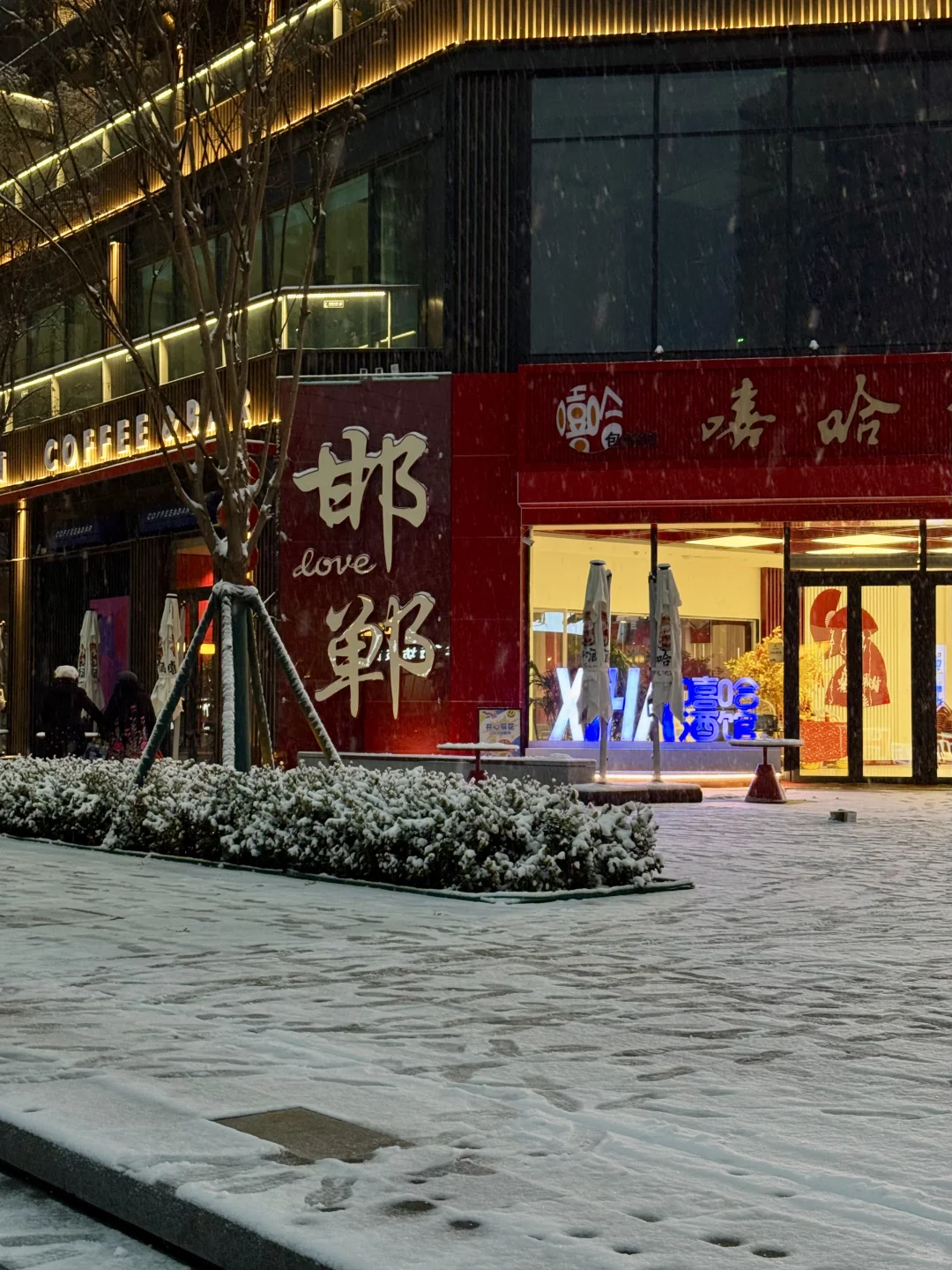 12.12实况!邯郸初雪❄️“千年赵都”浪漫