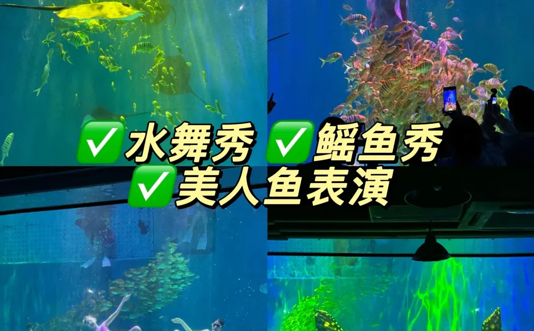 哈尔滨景点推荐!附三日游路线 美食🔥