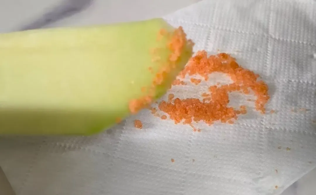 📚旅游攻略|环味蕾旅行😋