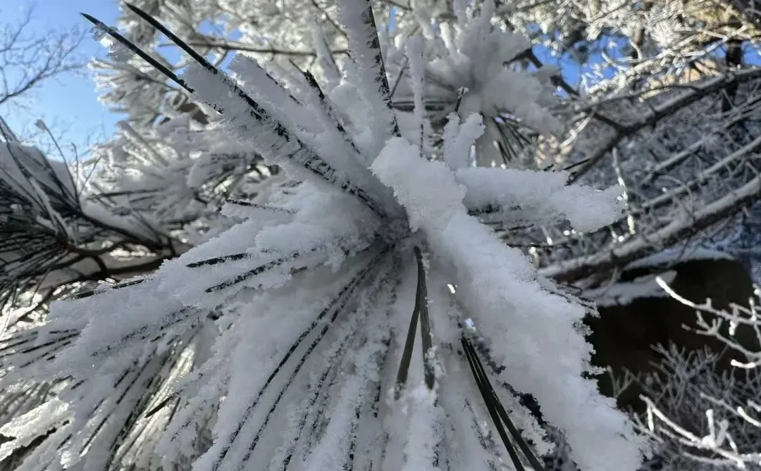 12.14📍累惨😭去莽山真心不建议去西门