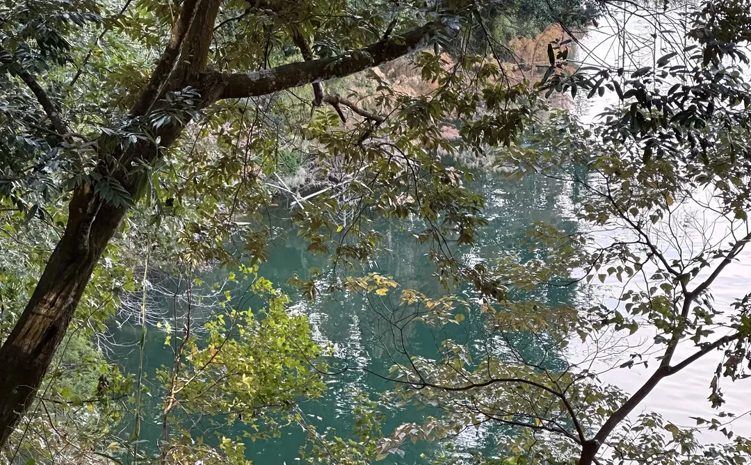 平静是最好的感知力🪵