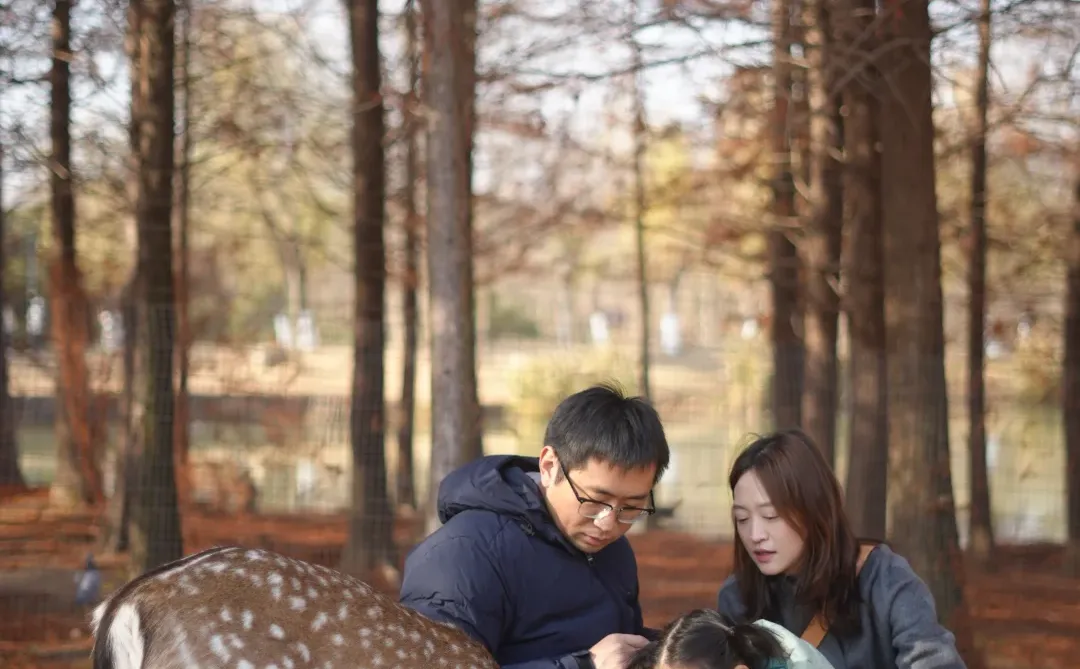 看小鹿一定要去奈良？才不是！