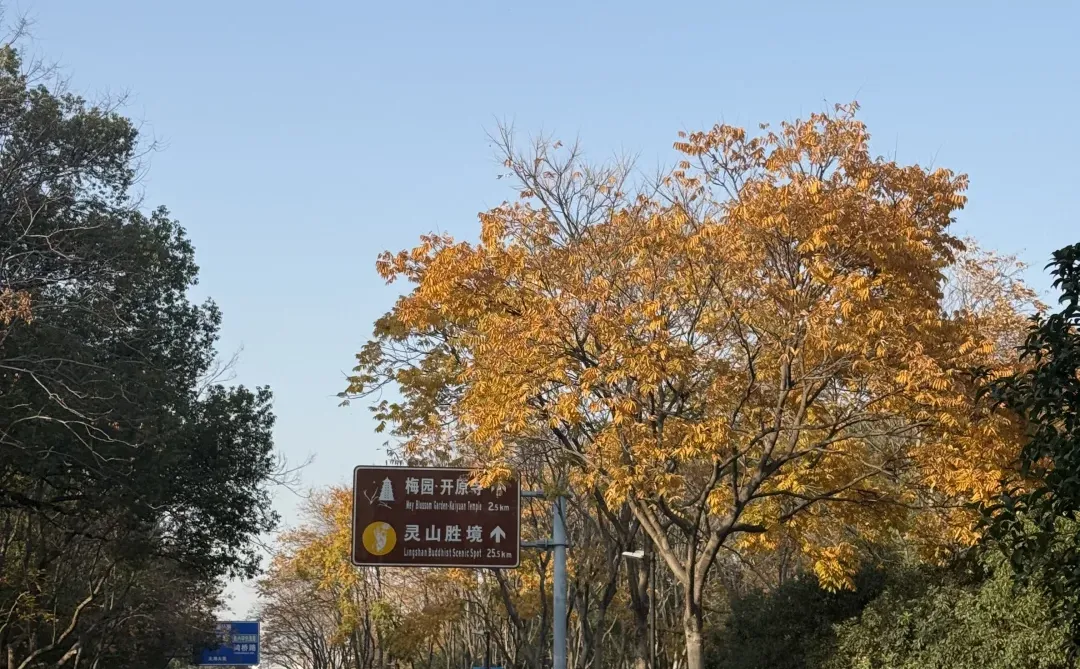 超级好的天气☁️