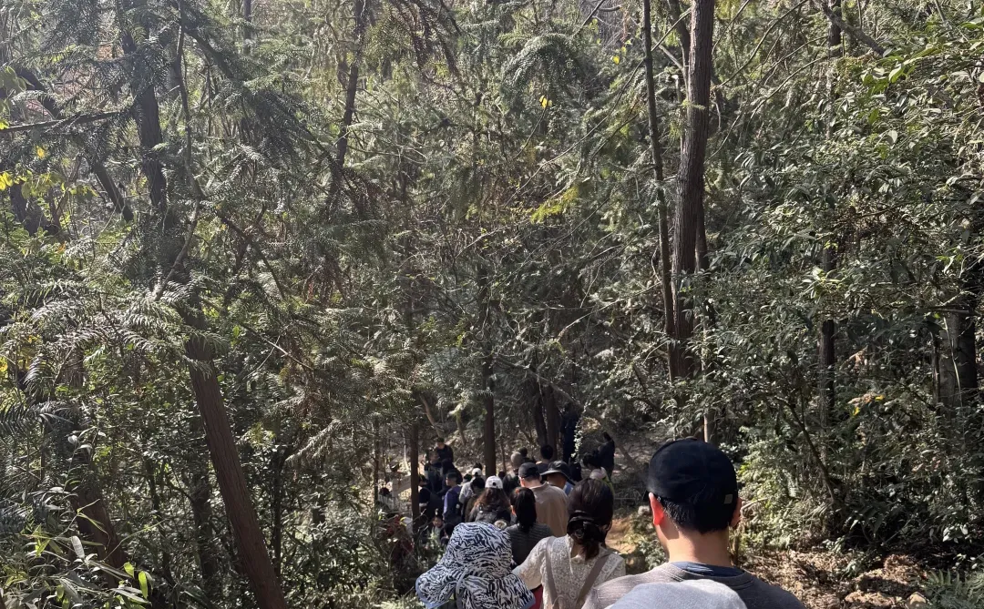 上海-苏州旺山半日爬🧗⛰️☀️