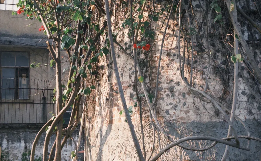 谁懂啊！佛山一日游连景区门都没找着!