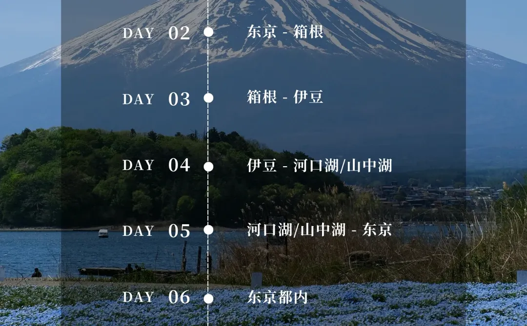 🗼 关东温泉七日巡礼：私享山海湖温泉