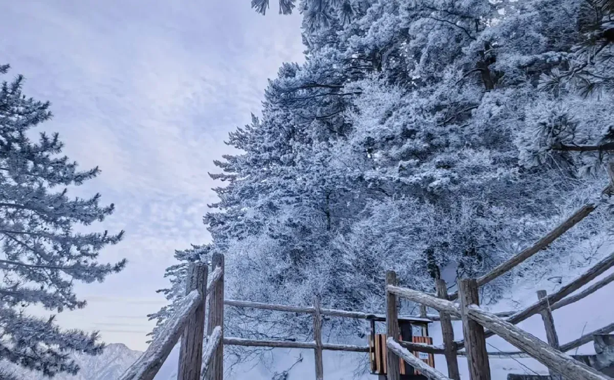 华山雪景限定回归❗️西峰索道重开!