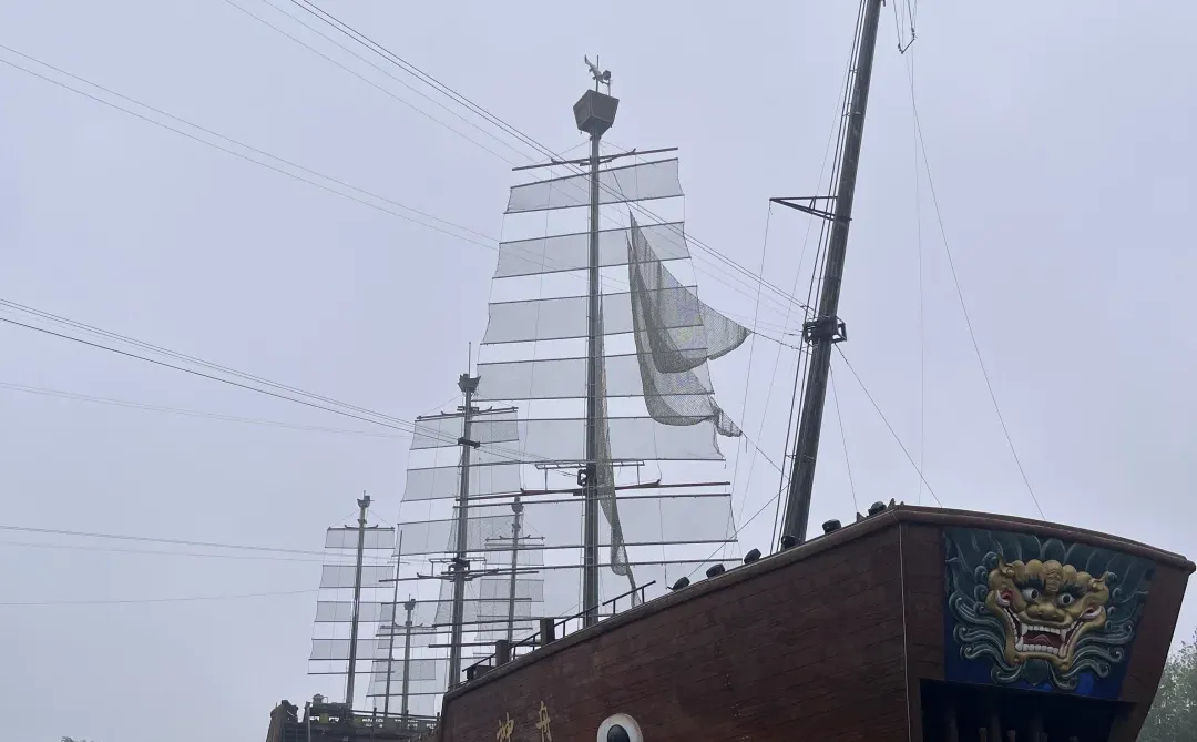 已去随便问！！！