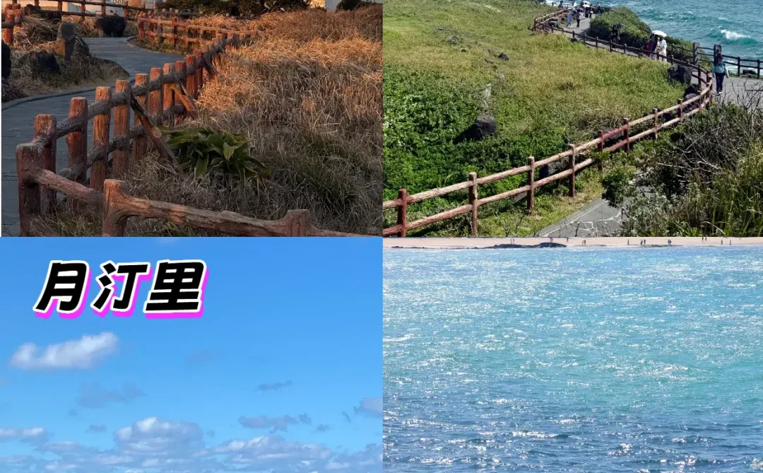 济州岛2日拼车游攻略｜精华景点一网打尽✨