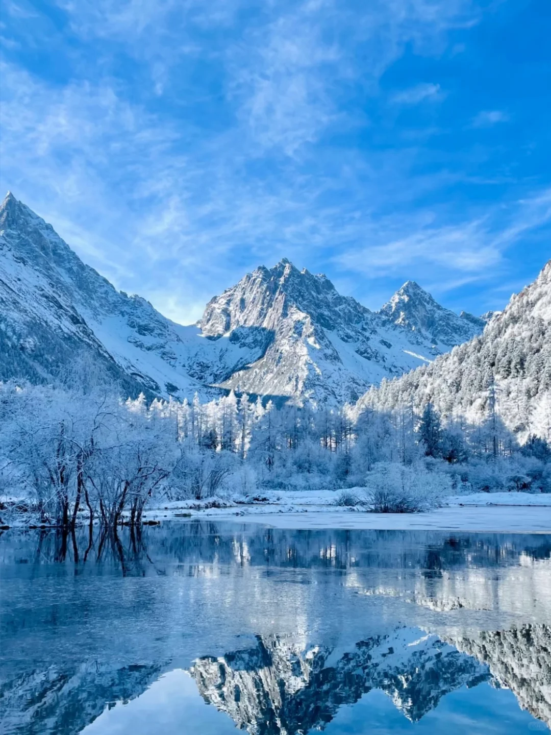 📍 毕棚沟12.2实况|188一日游成都免费接