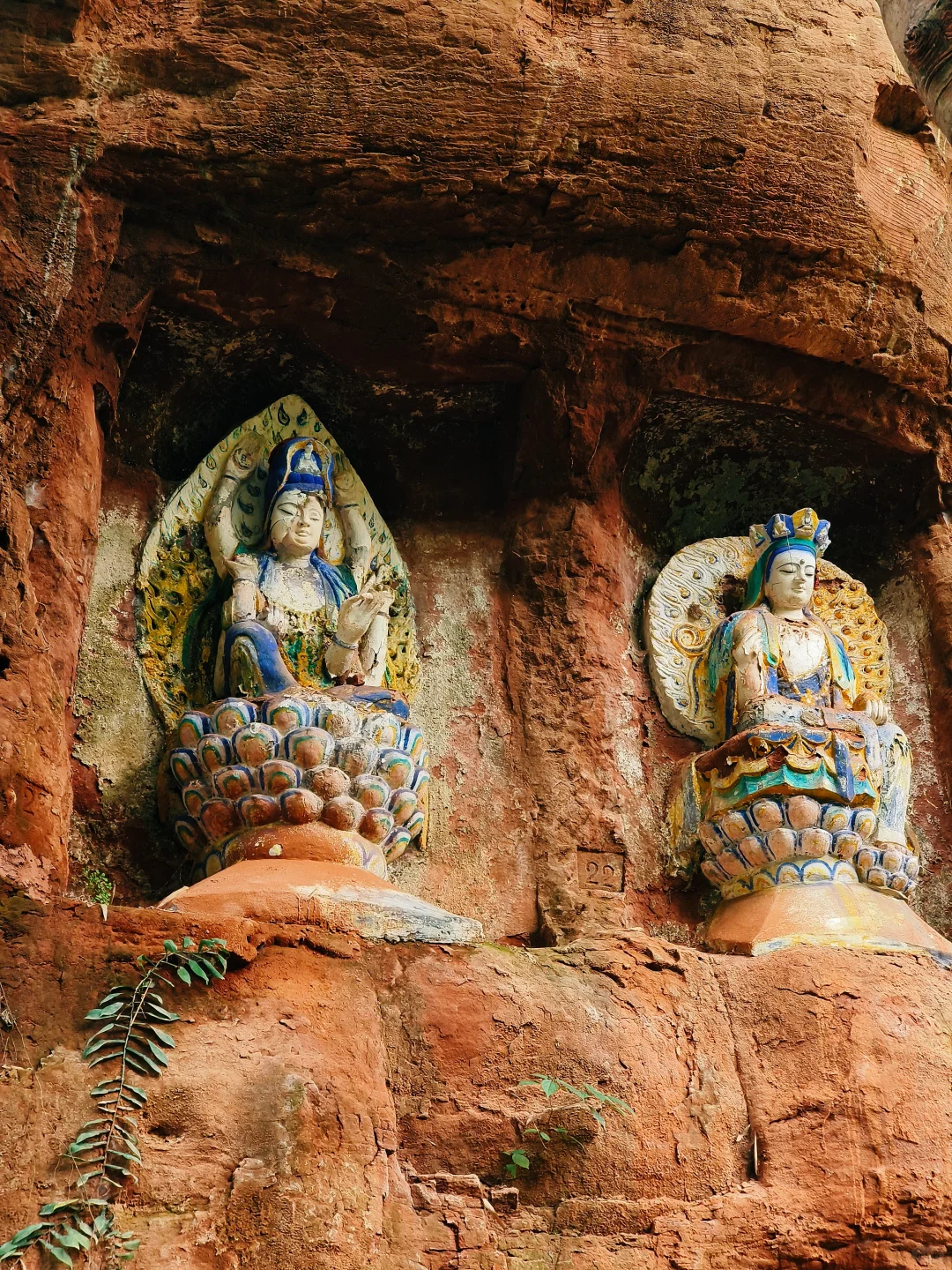 成都大巴💰14.9直达,青神1日游攻略