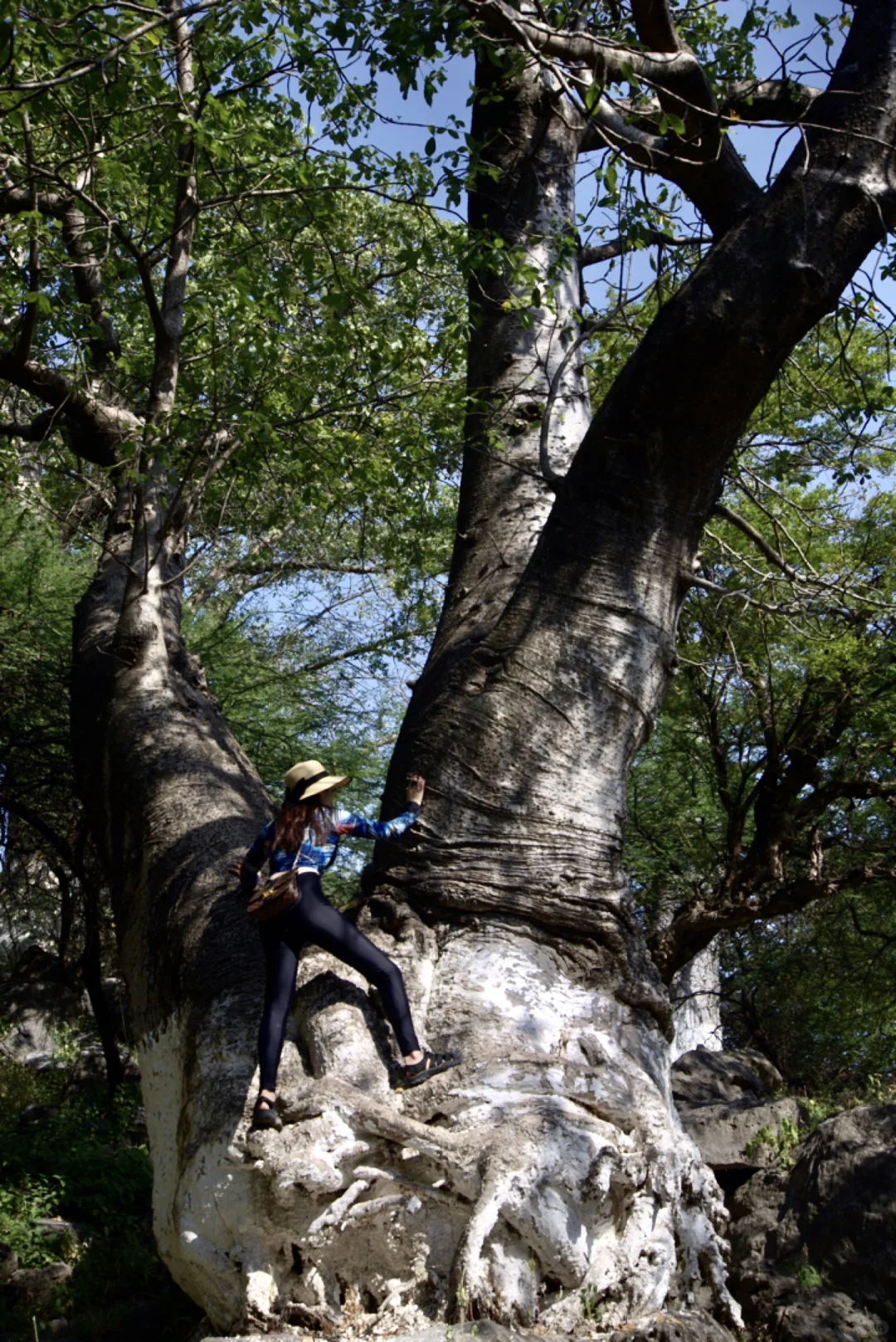 与自由穿行|阿曼回忆(7)地球博物馆1
