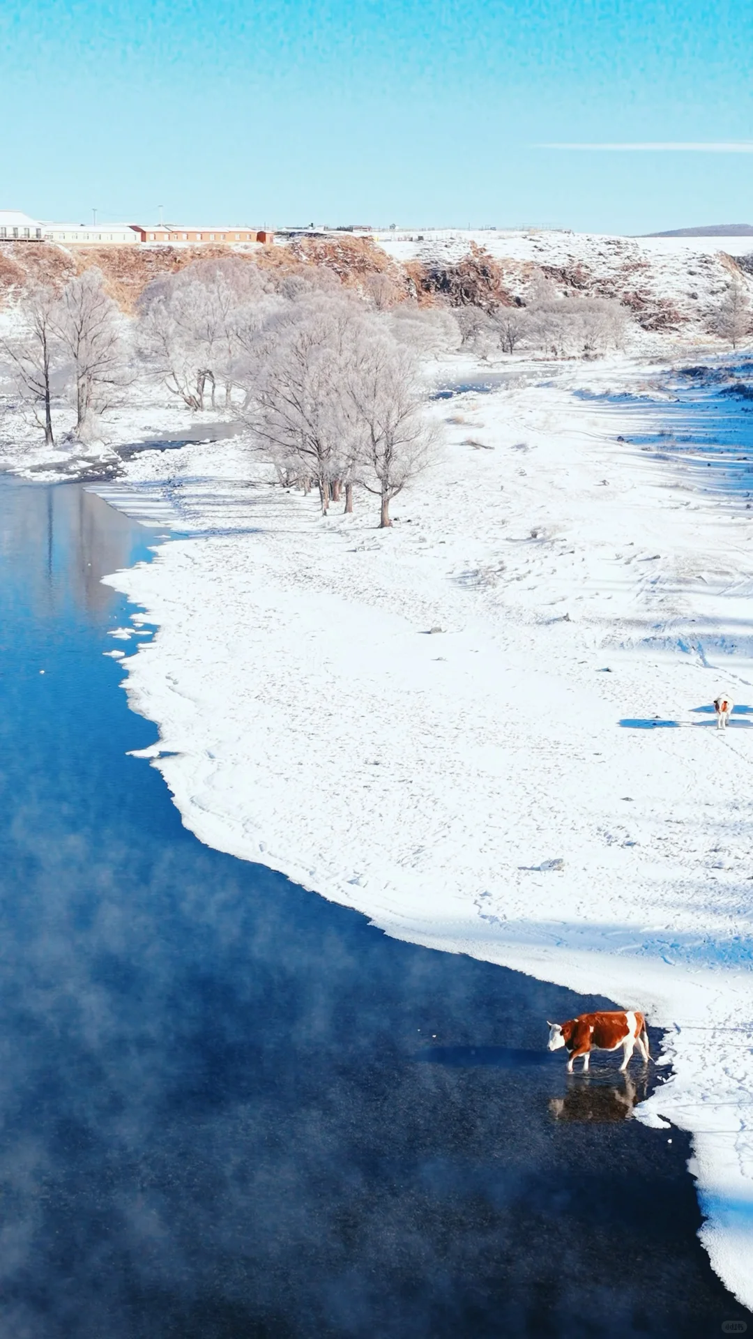 全屏live图打开此刻的内蒙!!!❄️