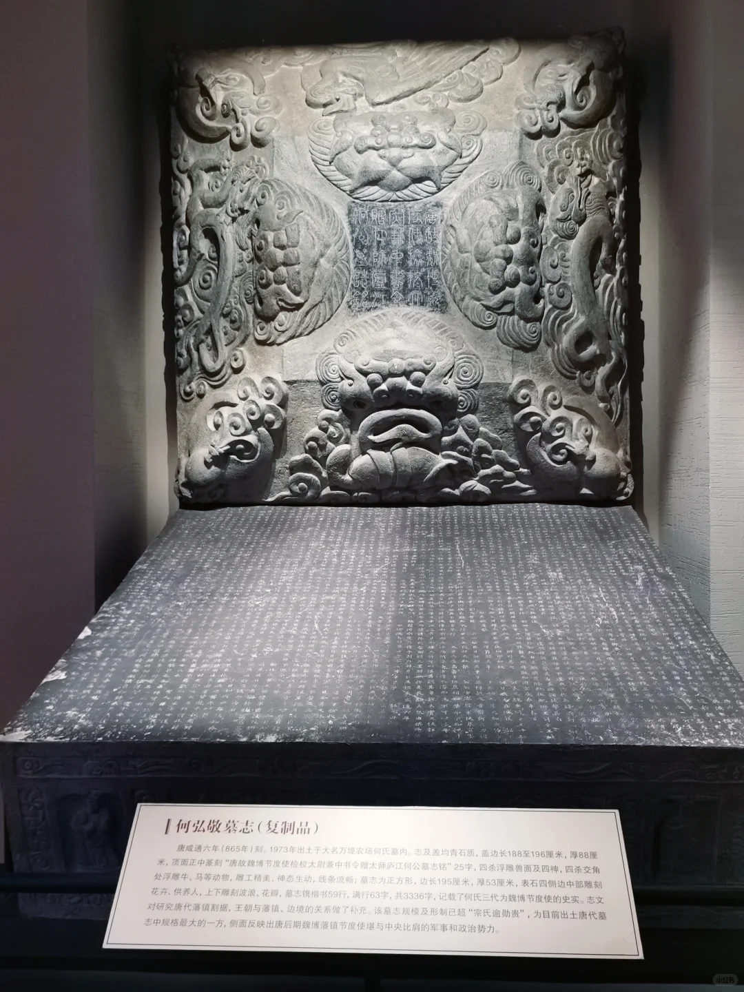 邯郸市博物馆‖穿越千年的历史之旅✨