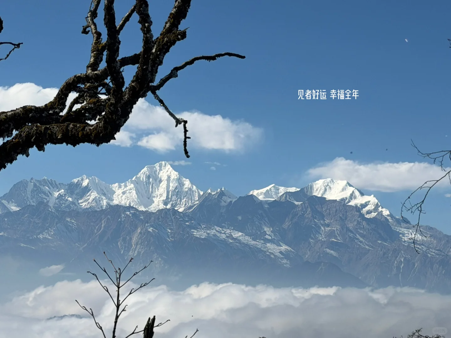 进山24h,同时拥有了贡嘎雪山🏔️与流星雨💫