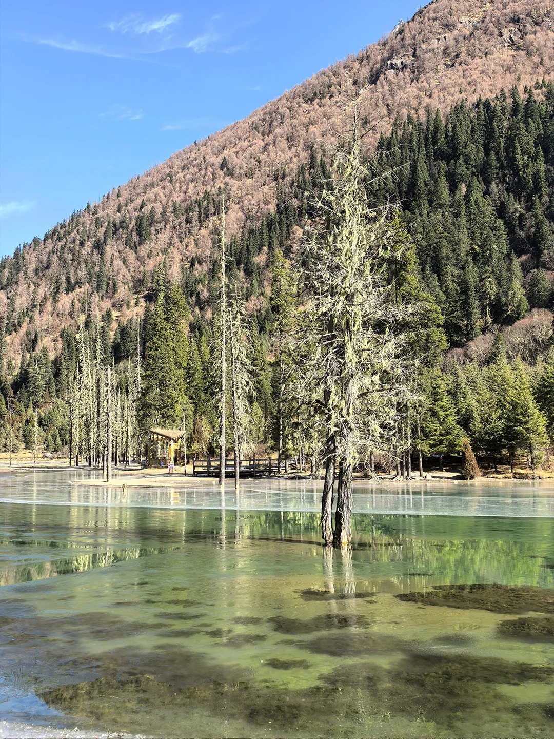 12.5📍四姑娘山豪赌成功！两日游才💰328