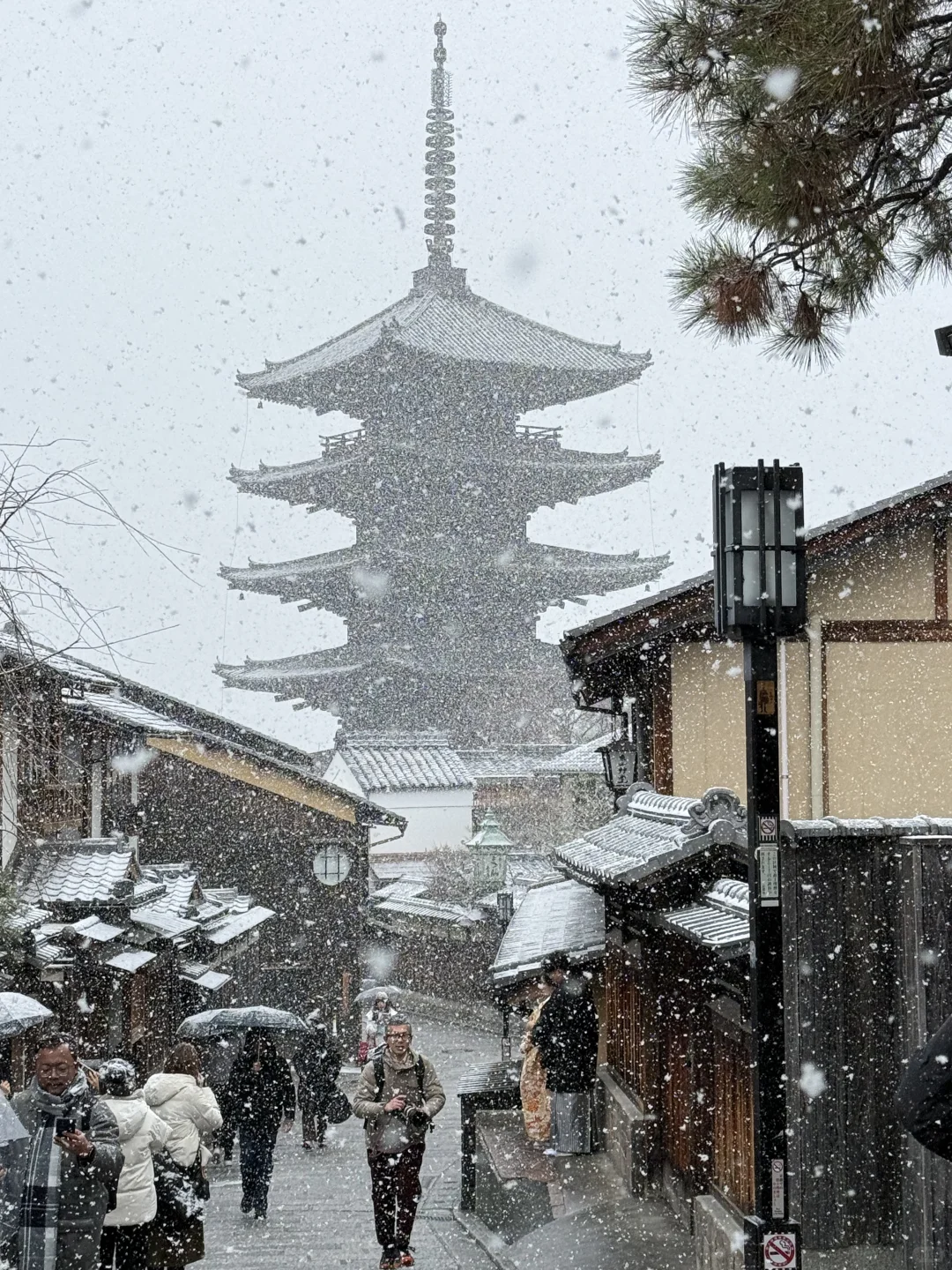 以为京都很美了