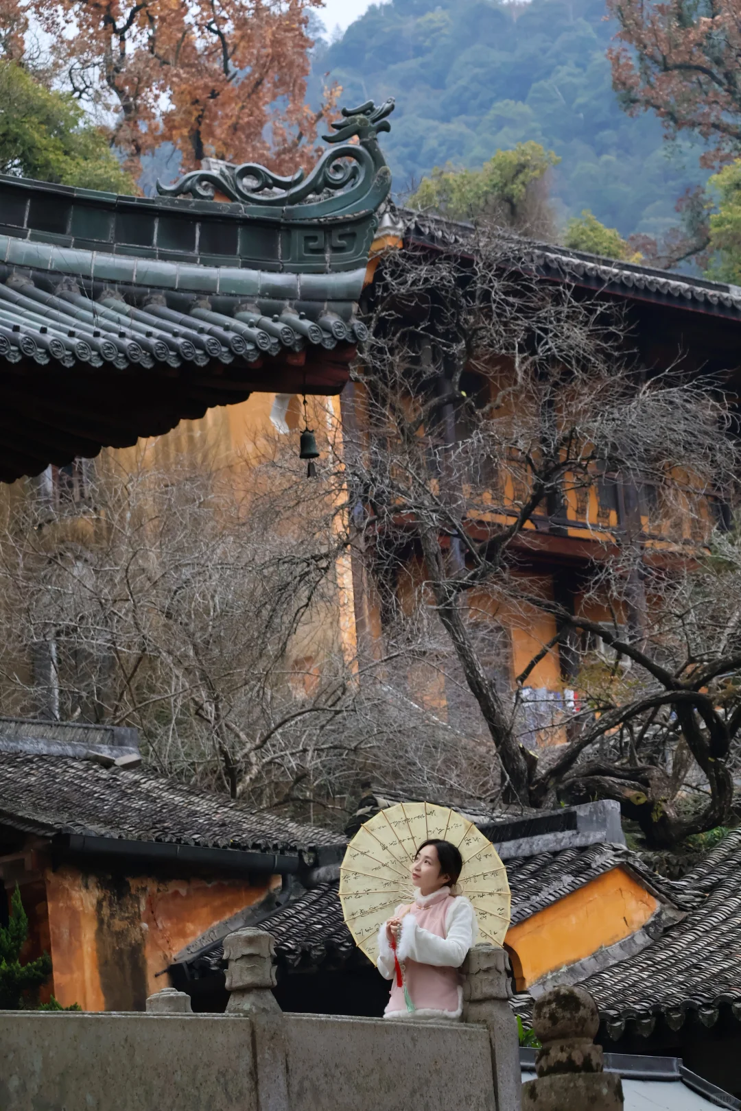 🌾🍂国清寺的秋,是我花0元买到的顶级治愈