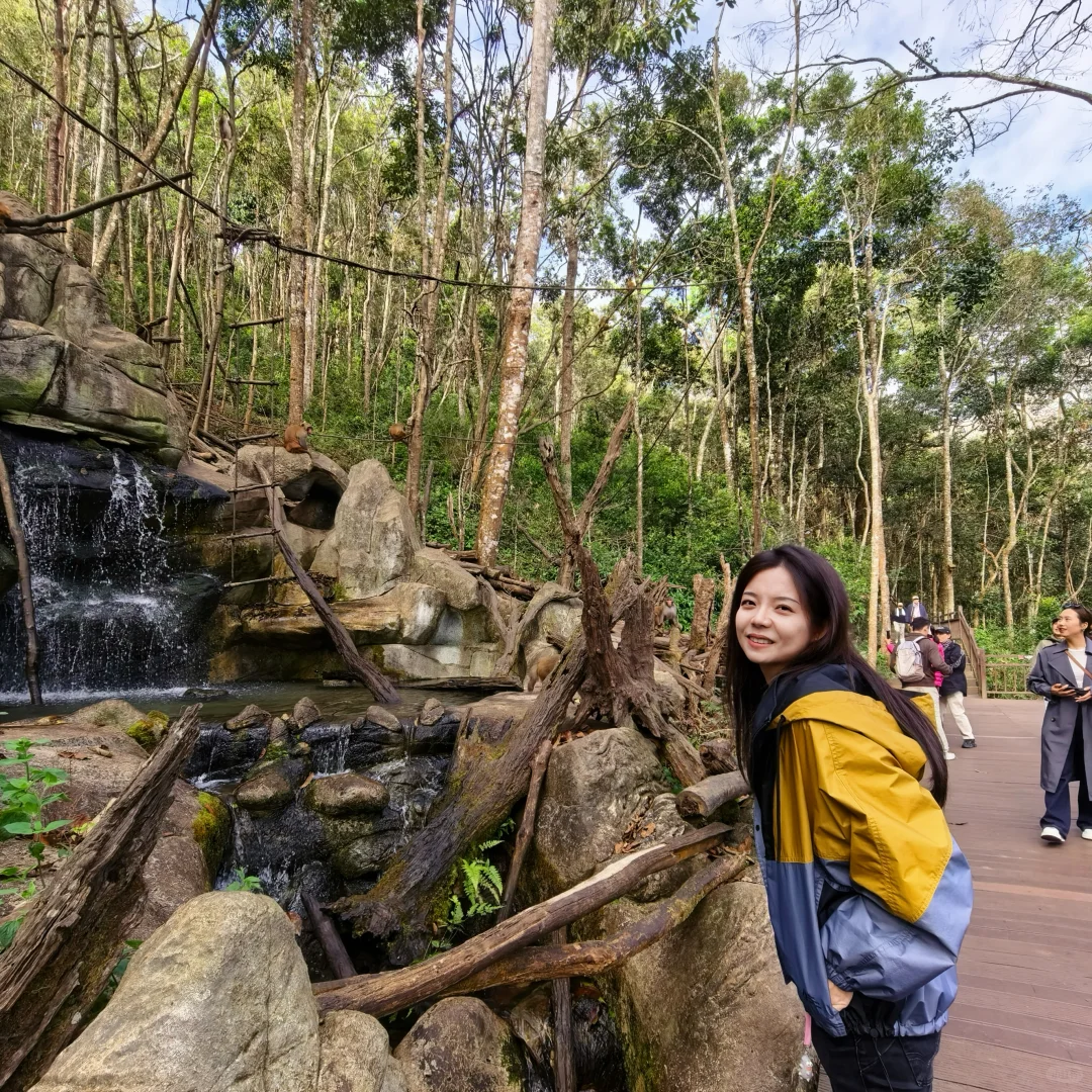 普洱🌿在自然里与小熊猫白犀牛玩耍