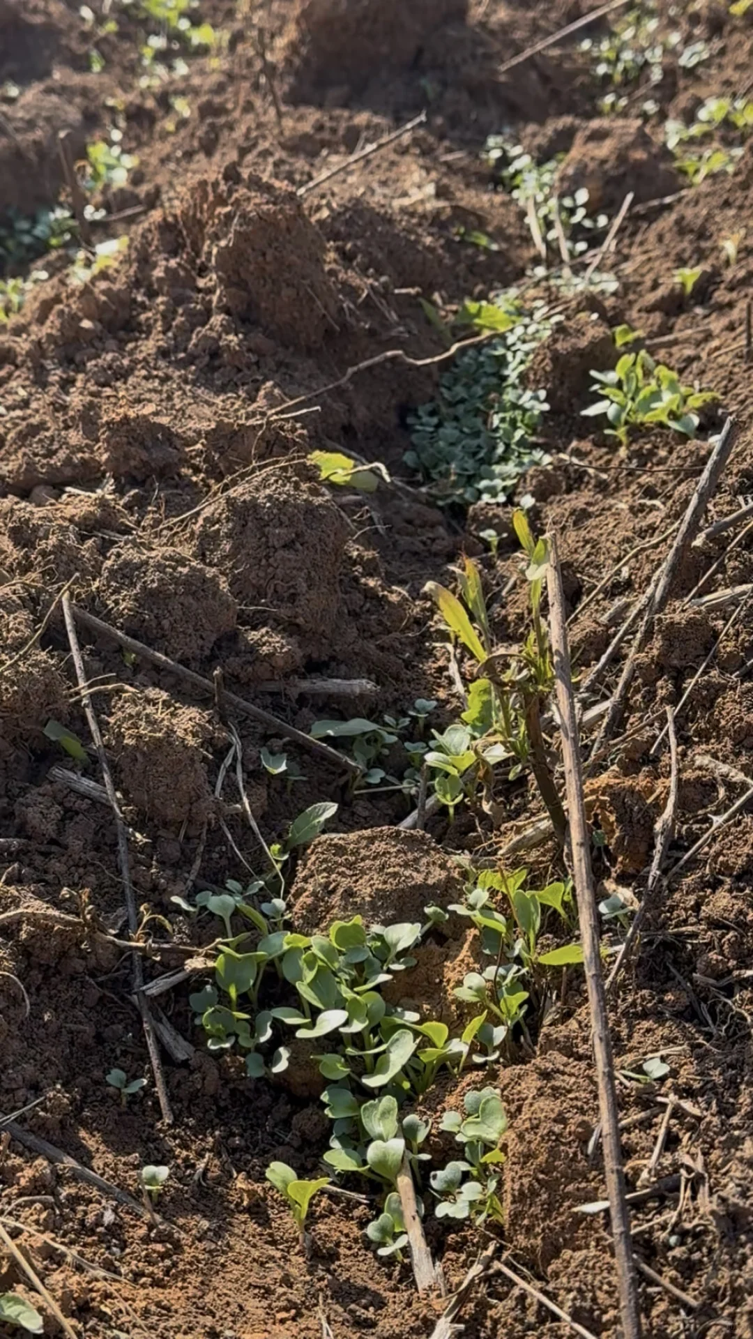 冬日某一天的我们