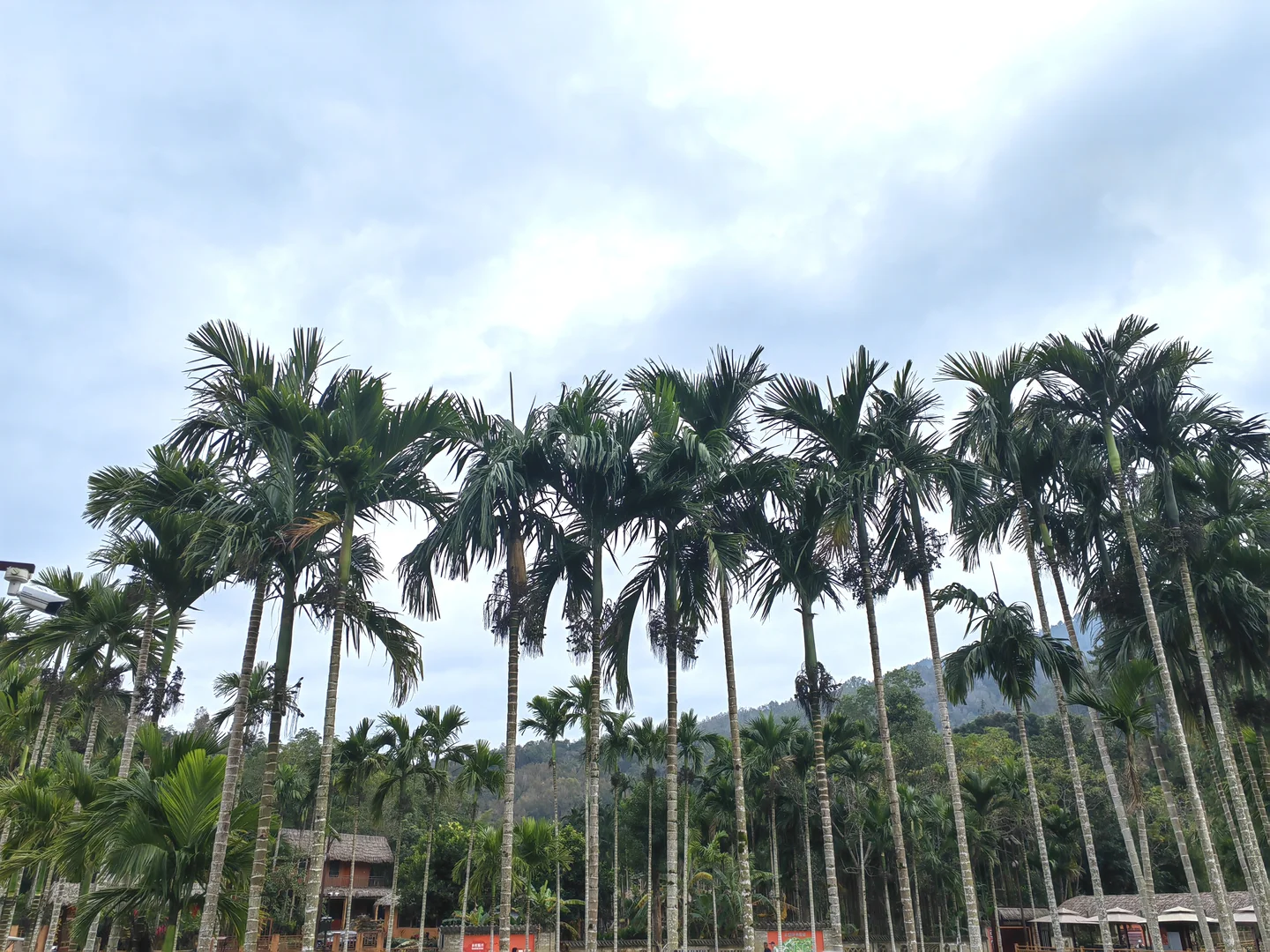 海南环岛跟团游part1