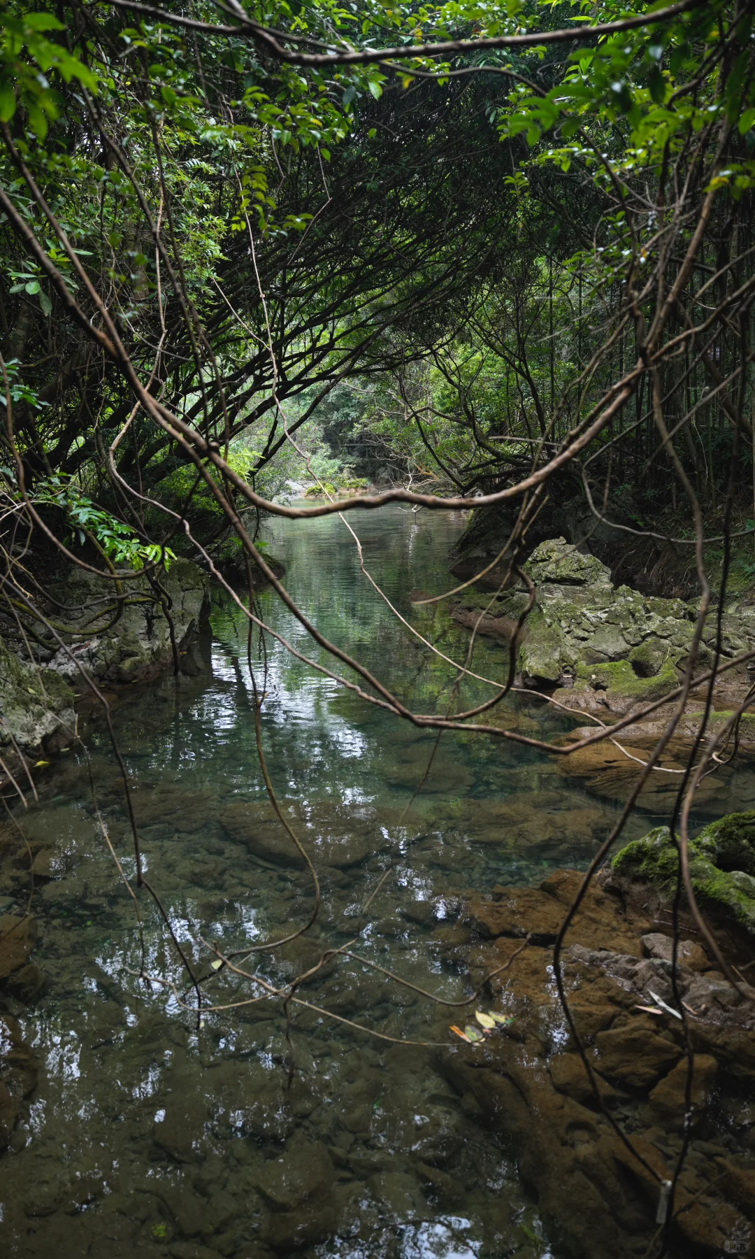 淡季荔波小七孔,人间绿宝石美的实在权威