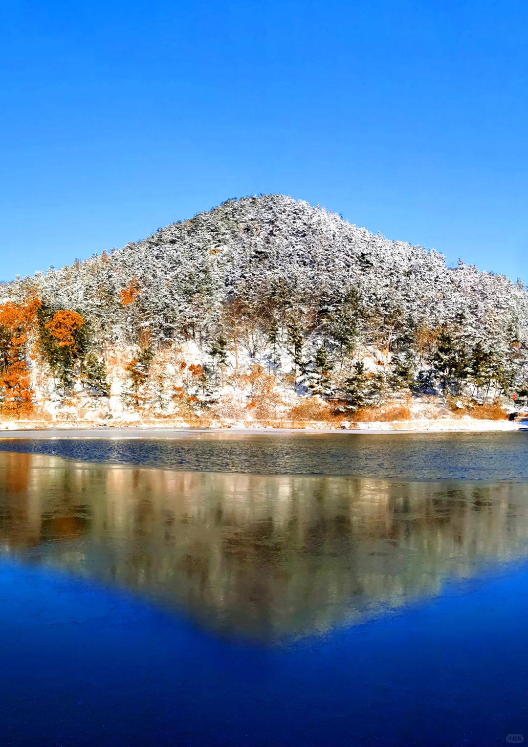 ❄️有山有海有雪，赤山景区的冬日浪漫
