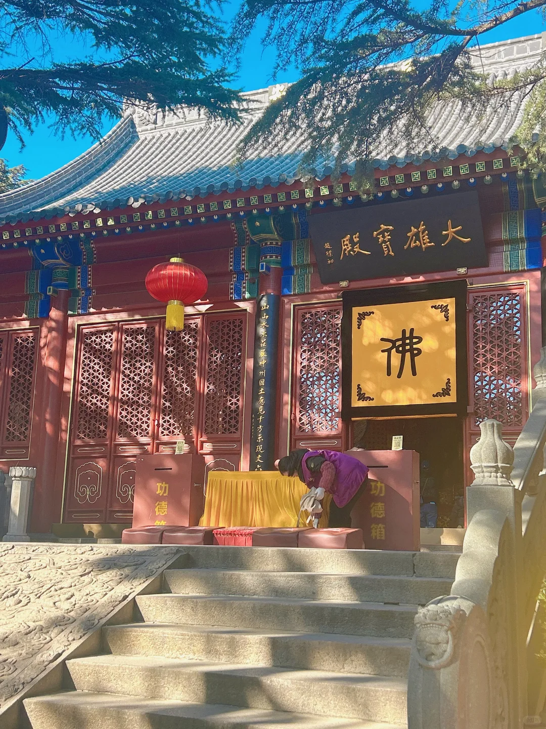 来青岛一定要去的景点🍀