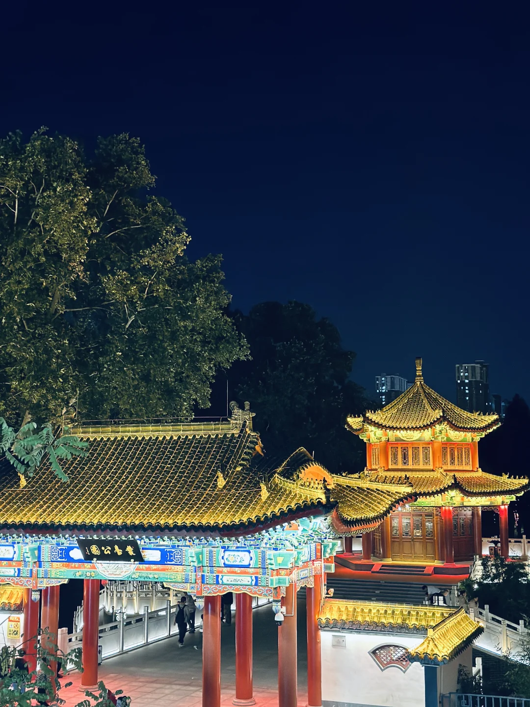 12.12-14日邯郸道演出节目单🎉